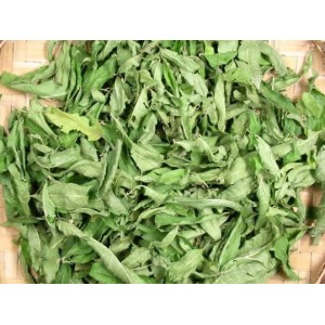 herbs - Verbena Herbs