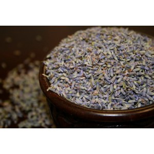 herbs - Lavender Herbs