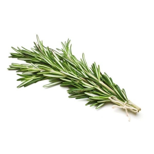 herbs - Rosemary  Herbs