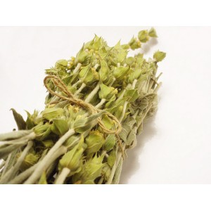 herbs - Mountain tea Herbs