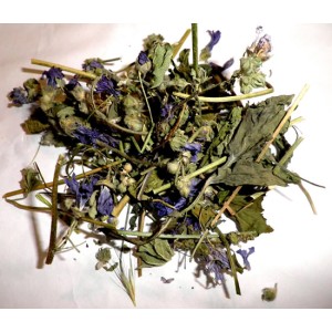 herbs - Mallow herb Herbs